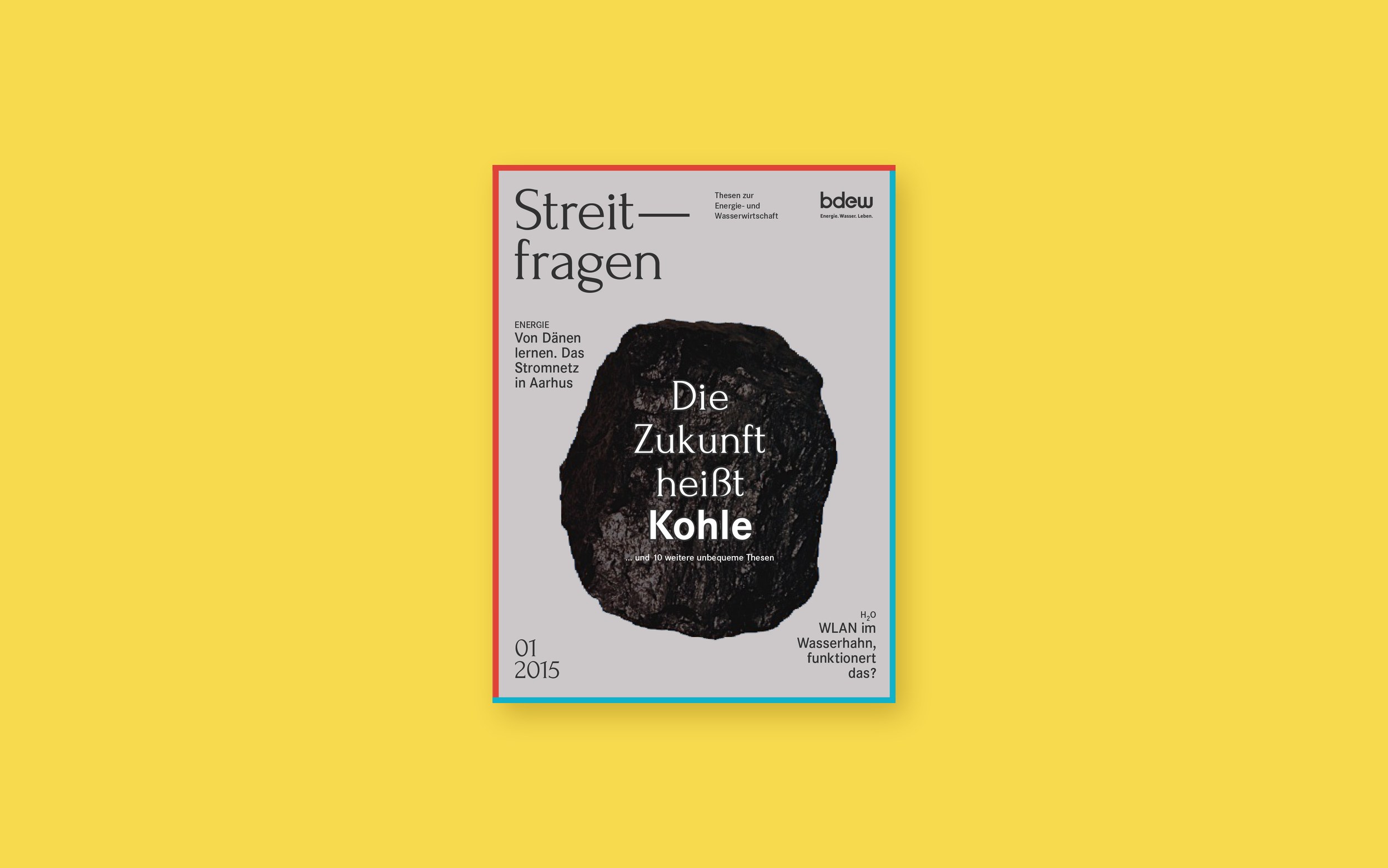 BDEW, Streitfragen