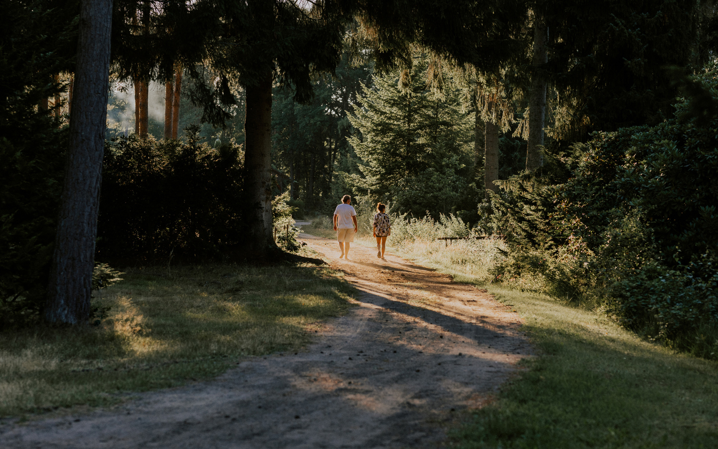 02-BenjaminPollach-WildwoodCamping-Photography-Spaziergang.jpg