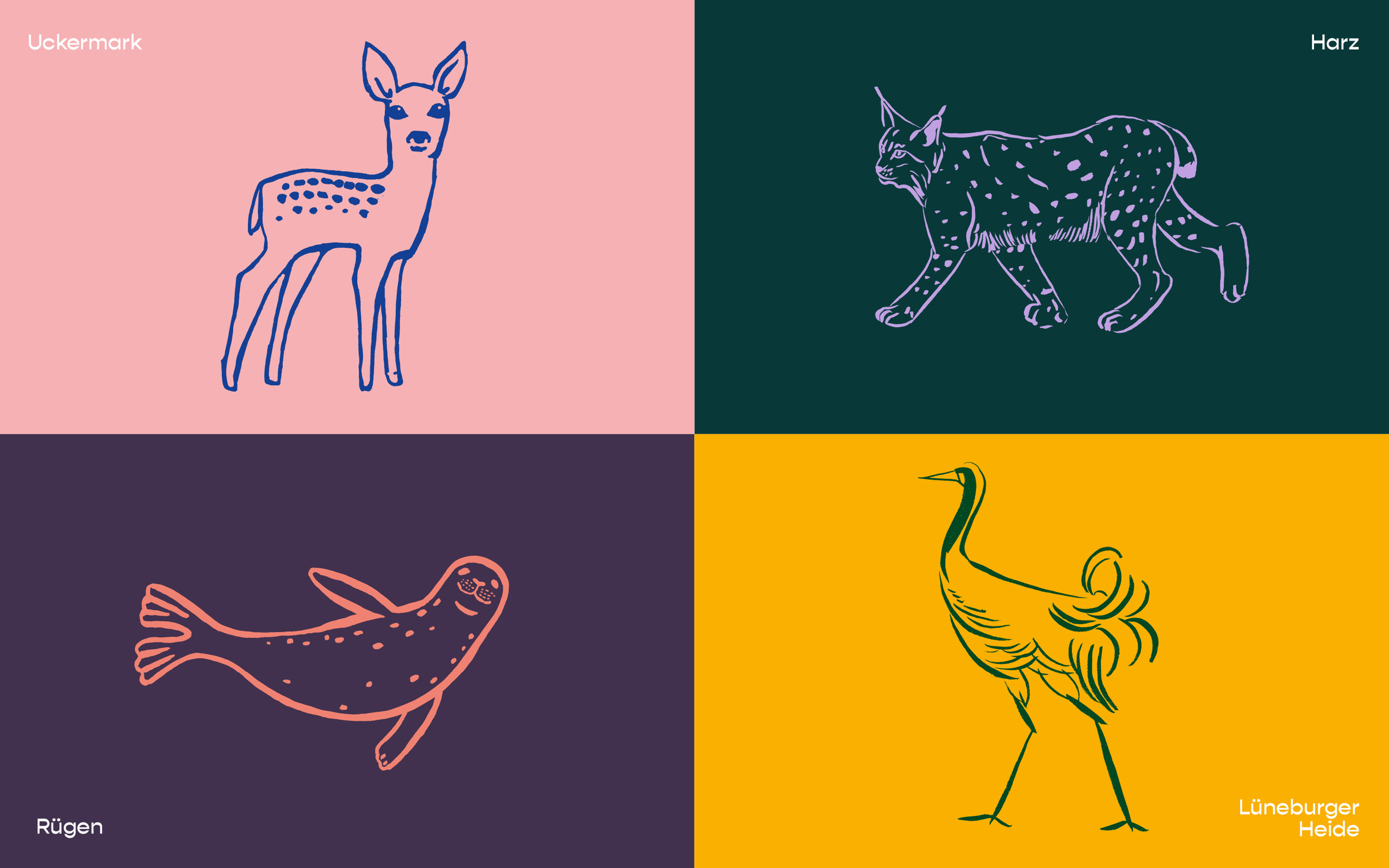 08-BenjaminPollach-WildwoodCamping-Branding-Tierillustrationen.jpg
