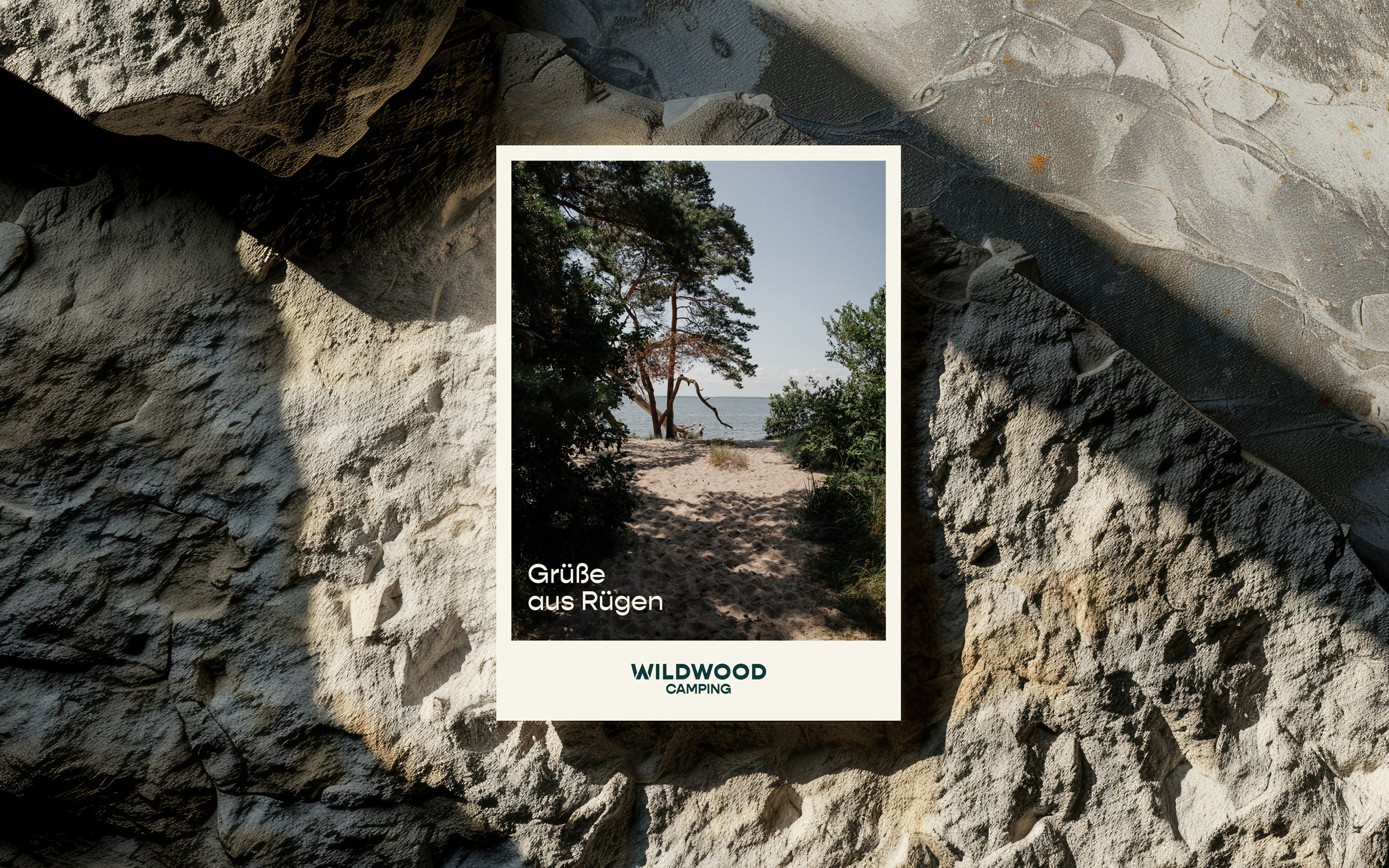 28-BenjaminPollach-WildwoodCamping-Branding-TShirtInterieur.jpg